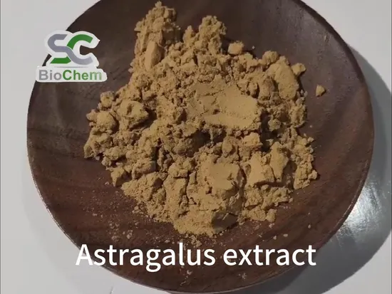 Meilleur prix Extrait de racine d'astragale 99% Cycloastragenol