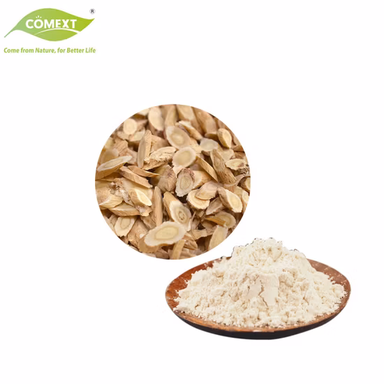 Poudre de cycloastragénol d'extrait de racine d'astragali de soins sains