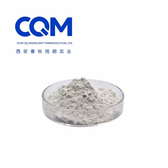 Meilleur prix Extrait de racine d'astragale Cycloastragenol 99 % Poudre