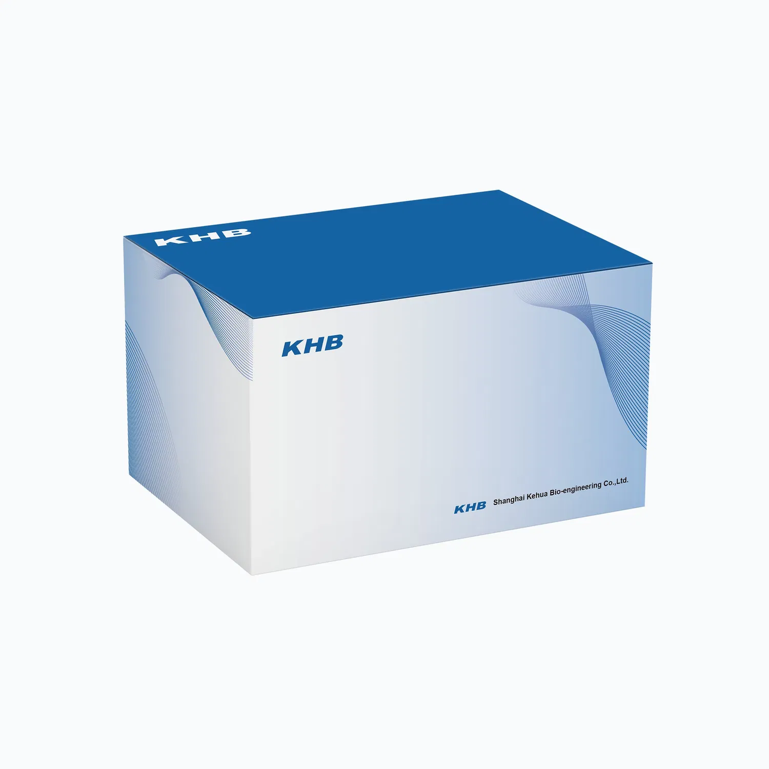 Anticorps primaires polyclonaux de lapin anti-Chk1